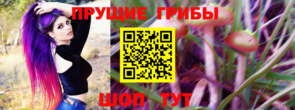 Осинники  Псилоцибиновые грибы ЛСД  Вход с VPN  цена наркотик  Галлюциногенные грибы Magic Shrooms 